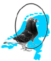 fondkrant.gif (3515 bytes)